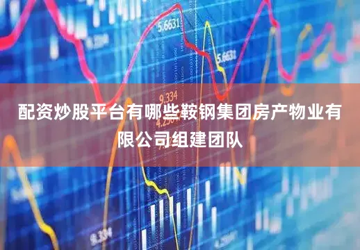 配资炒股平台有哪些鞍钢集团房产物业有限公司组建团队