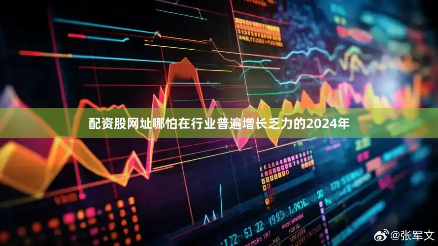 配资股网址哪怕在行业普遍增长乏力的2024年