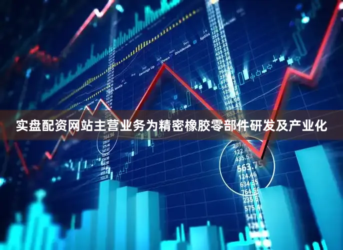实盘配资网站主营业务为精密橡胶零部件研发及产业化